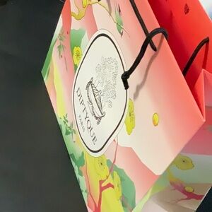 Diptyque Lamei Shopping Gift Bag LARGE SIZE Diptyque Shopping bag